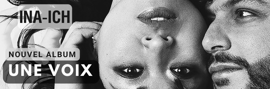 INA-ICH banner