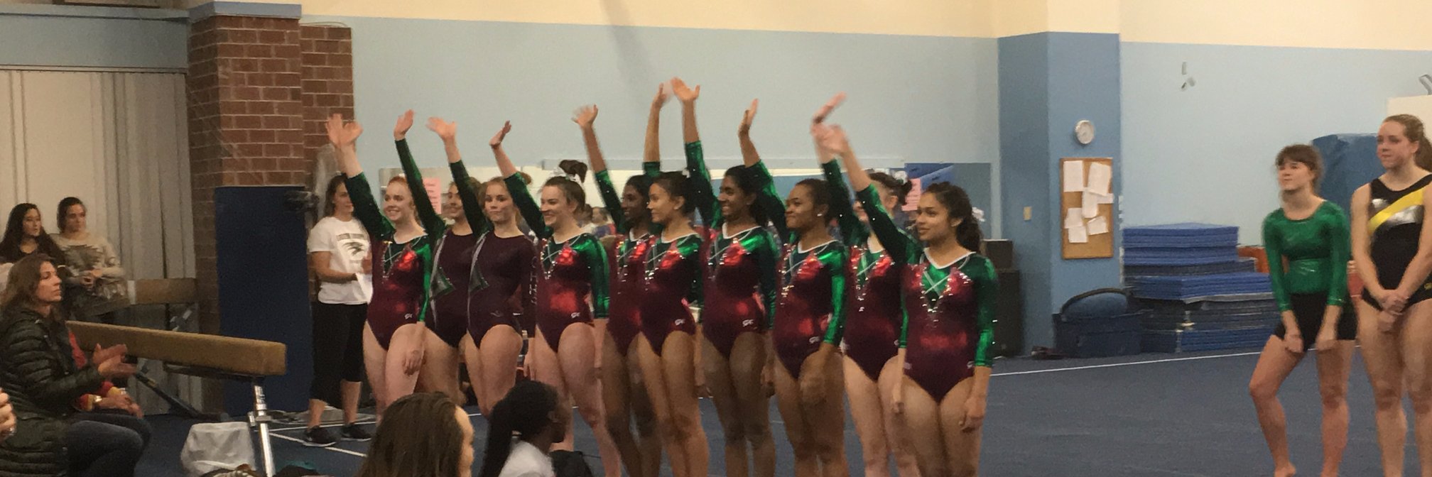 GHHSGymnasticsT's profile banner image