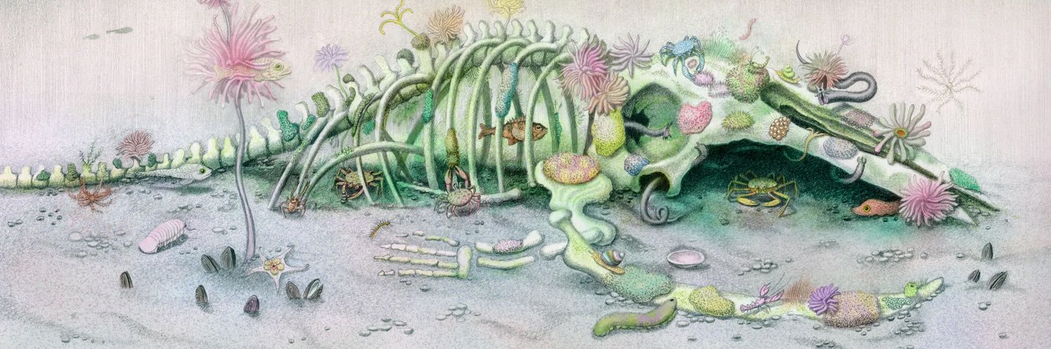 транссексуальный идиот banner