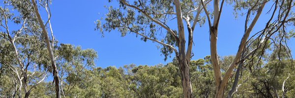 TomJameson_Zoo Profile Banner