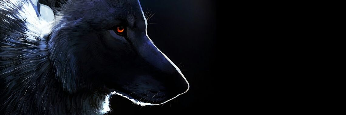 JFAislant's profile banner image