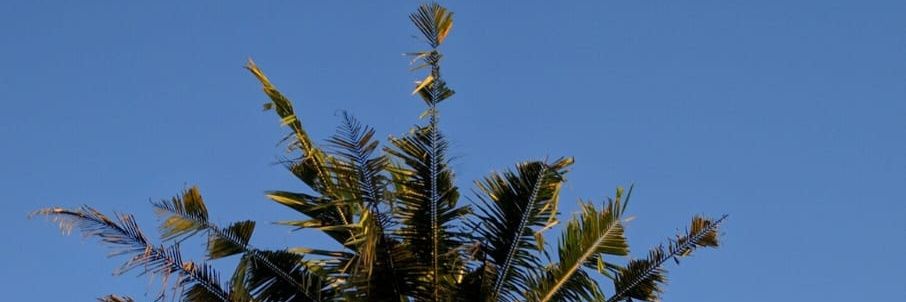 EvaAkhirullaa's profile banner image