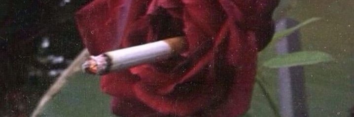 ailucarlotta's profile banner image
