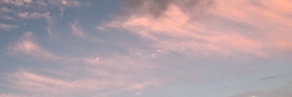 TrudyMerritt8 Profile Banner