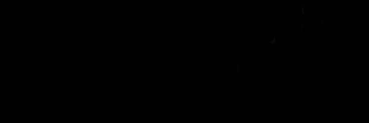 Sapi Anonim 🐮 banner