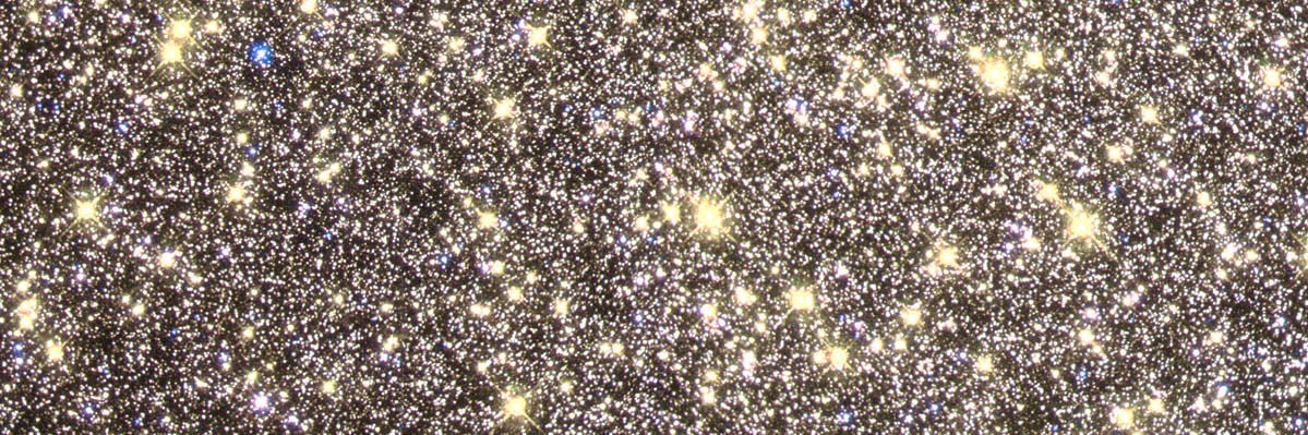 Maryam | مريم 🤖 banner