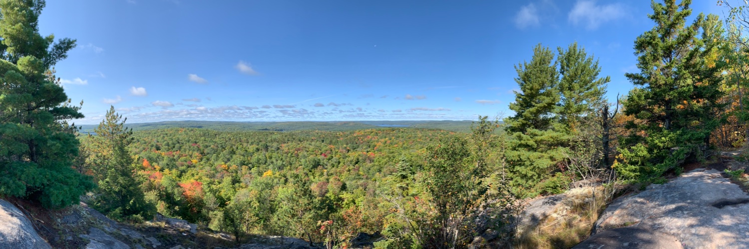 David Hohenschurz banner