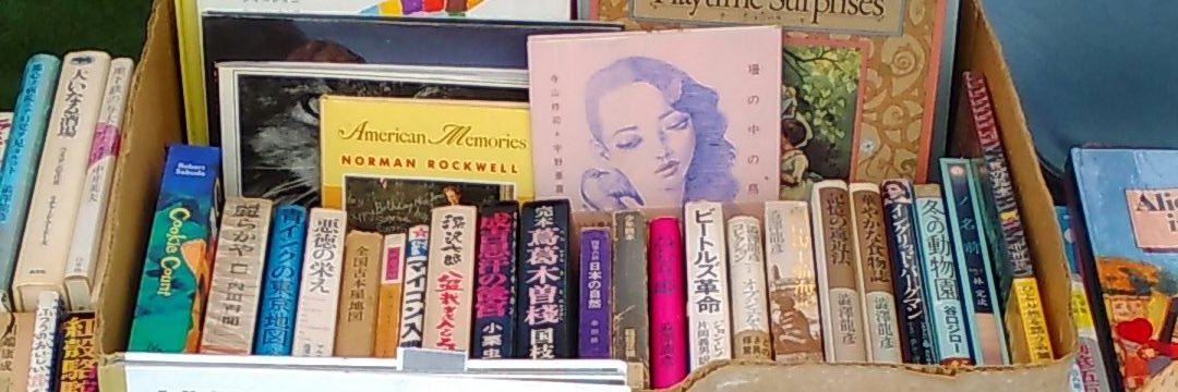 rainbb48's profile banner image