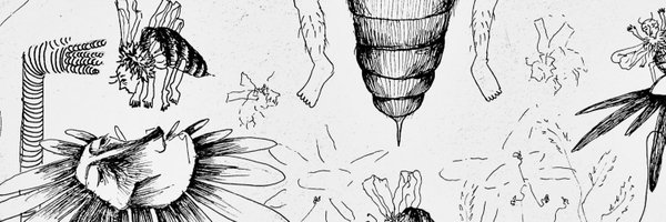 bigflowersguy Profile Banner