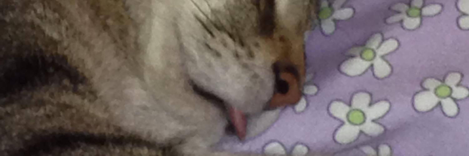 colie429's profile banner image