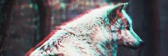 alxflore's profile banner image