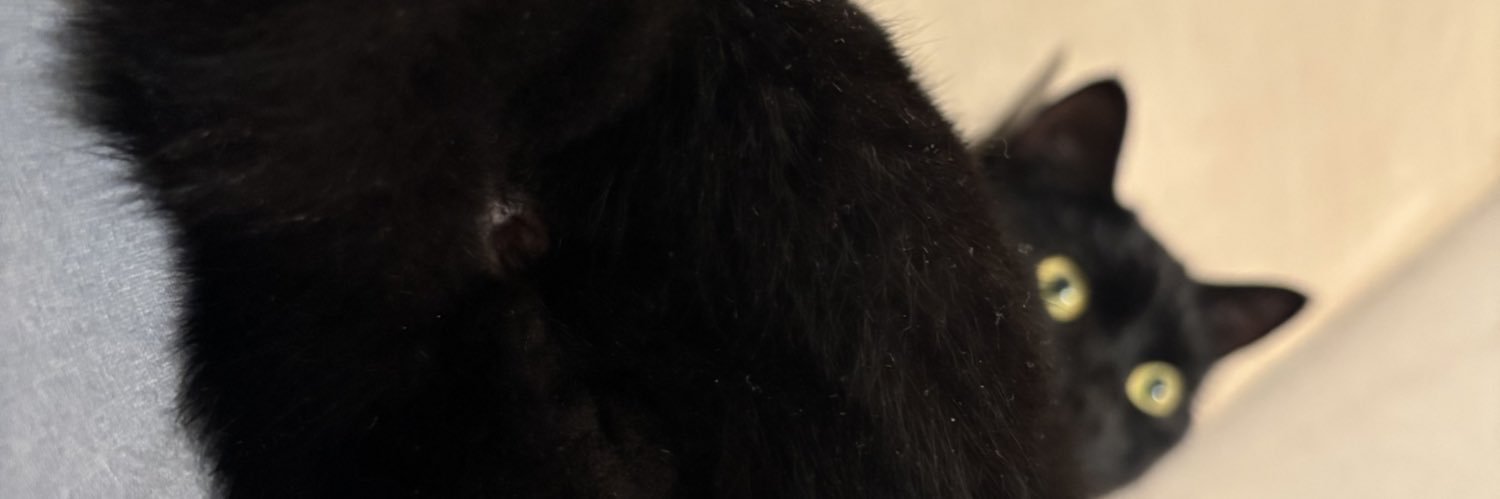 我是压路机 banner