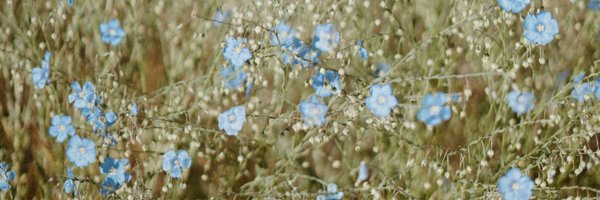 CatieStJacques Profile Banner