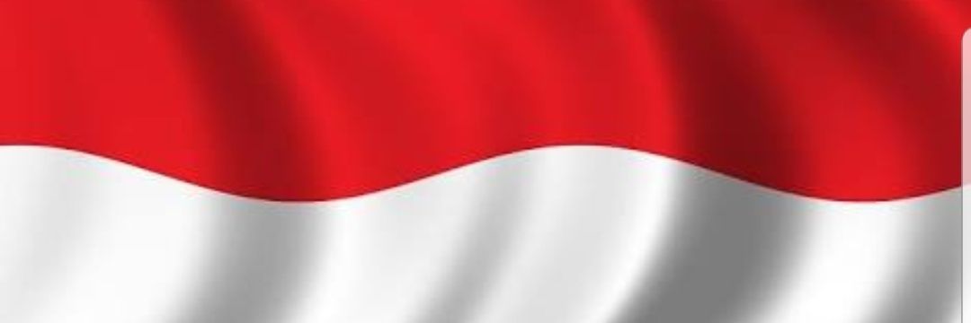 Tina Talisa banner