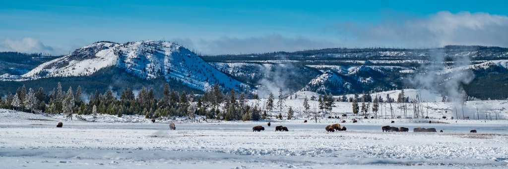 Riccardo Civico banner