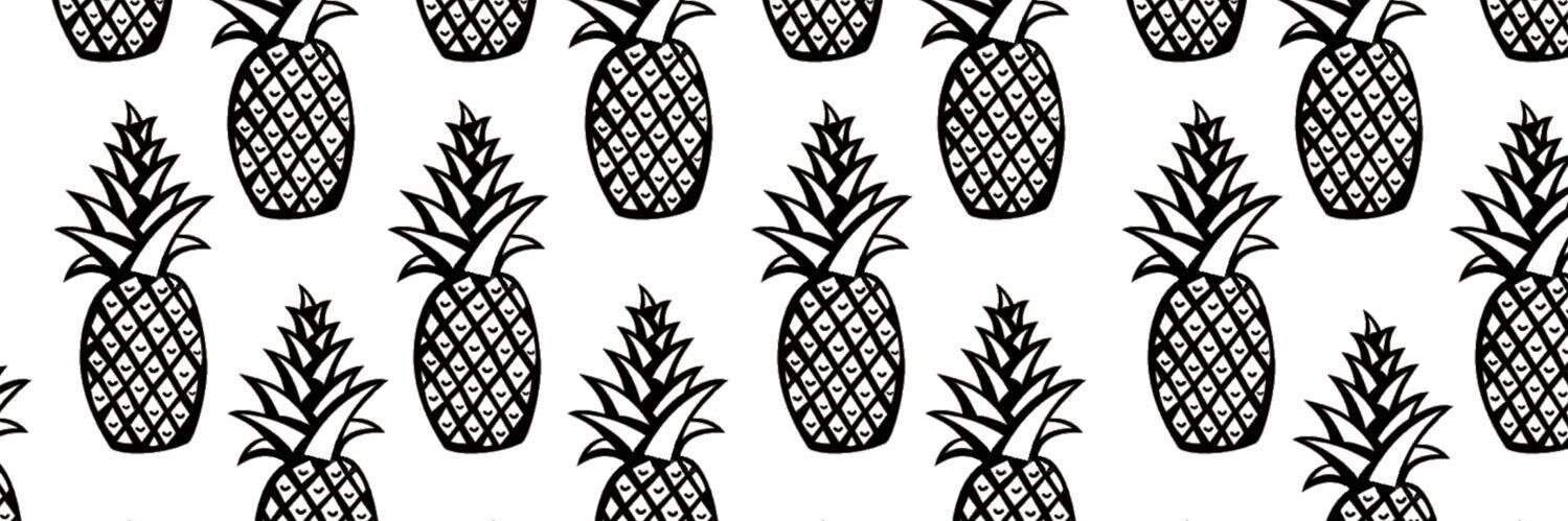 HawaiianInCO's profile banner image