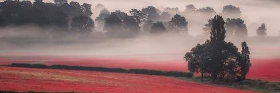 MPBazz the 3rd 🏴󠁧󠁢󠁥󠁮󠁧󠁿🏴󠁧󠁢󠁥󠁮󠁧󠁿 banner