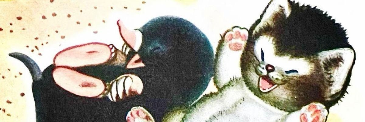 khamzat champ banner