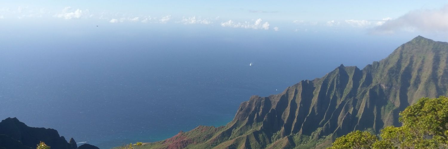 CydxP's profile banner image