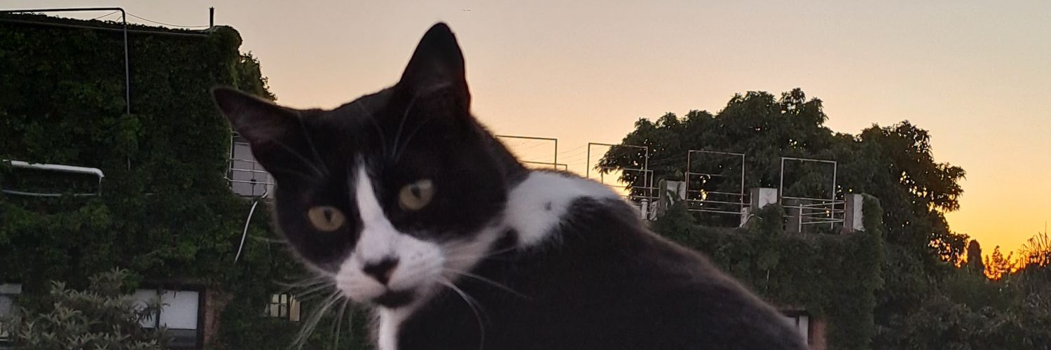 Jonathan Chazarreta 🇦🇷🇷🇺🇵🇸🇱🇧🇮🇷 banner