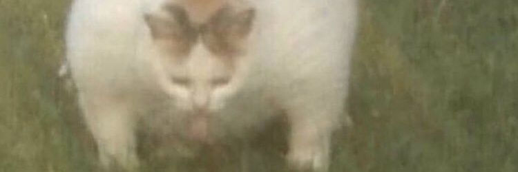 awipe365's profile banner image