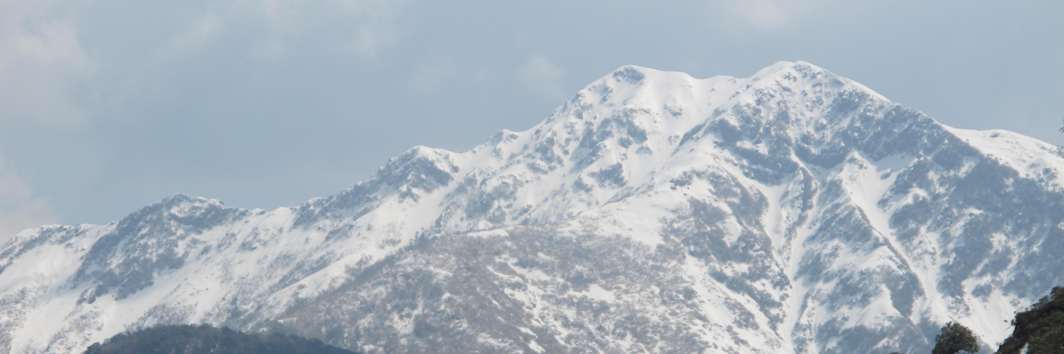 kanubhai suchak banner