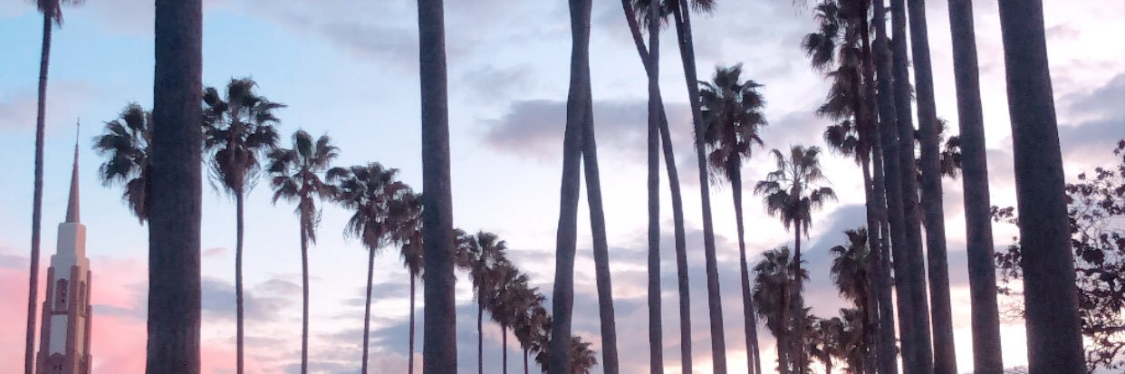 BabyDavyy's profile banner image