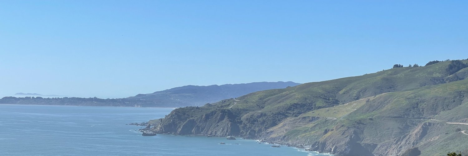 Mircea Pașoi banner