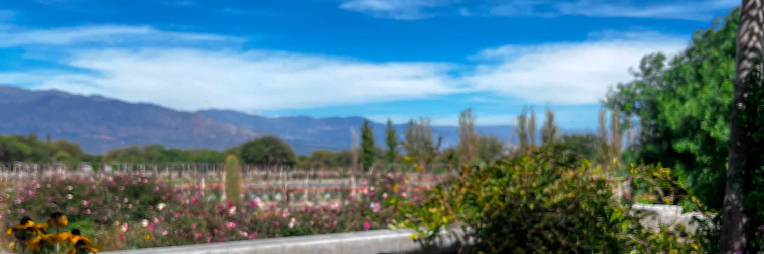 AyeeMeza's profile banner image