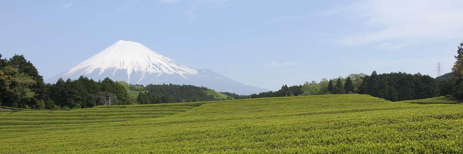 静岡ジン🍥 banner