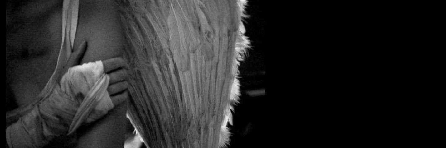 amerilandk's profile banner image
