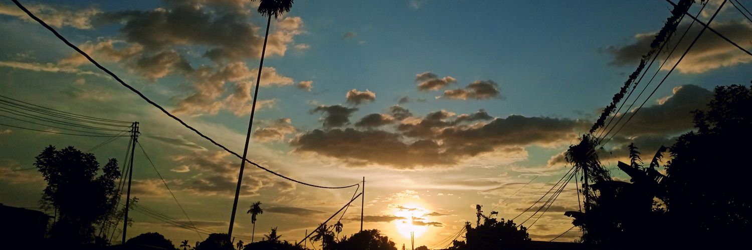 T.U.L.I.P🌷 banner