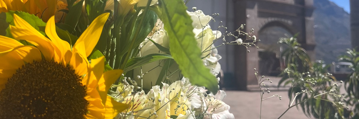 Caroline Huaman banner