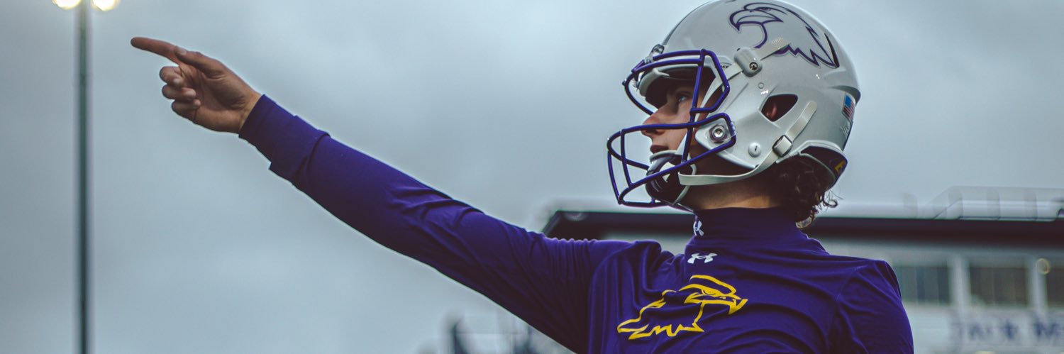 Nicholas Bastaja banner