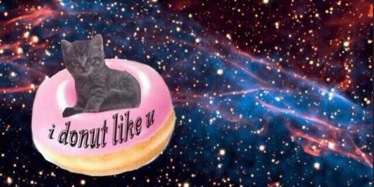 Maddy Settell banner