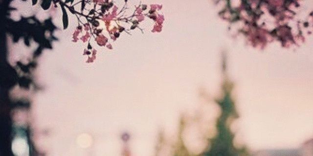 cec5s's profile banner image