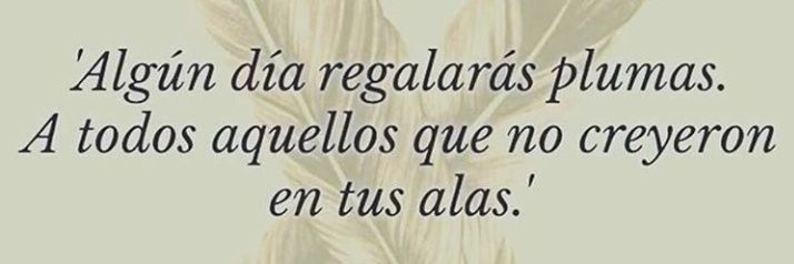 anaranjos's profile banner image