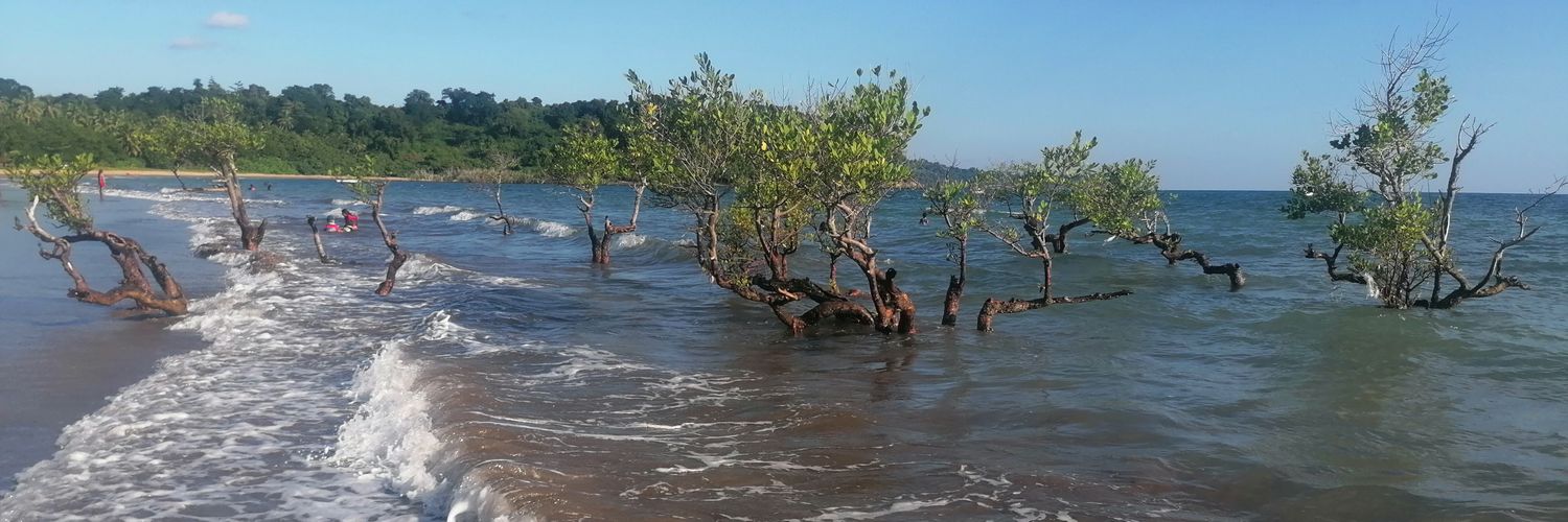 Faïd Souhaïli banner