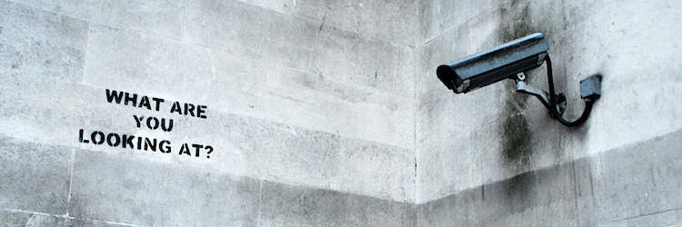 Daniel Grimaldi banner