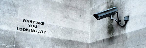 grimalditwit Profile Banner