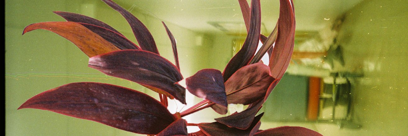 cestamatiq's profile banner image