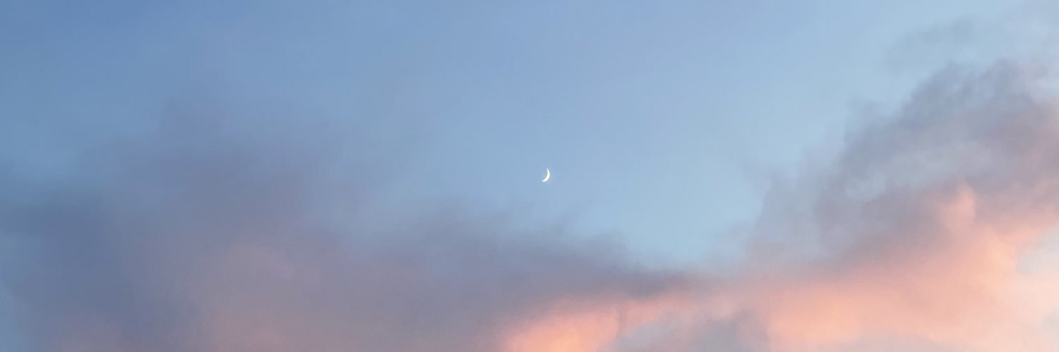 lotus_6_'s profile banner image
