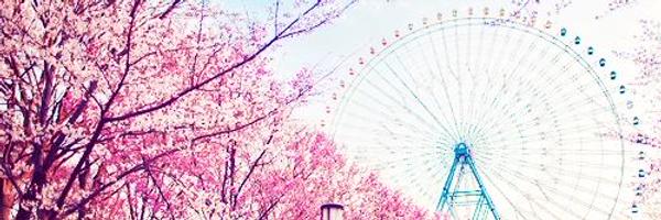 DONGMEIzxc Profile Banner