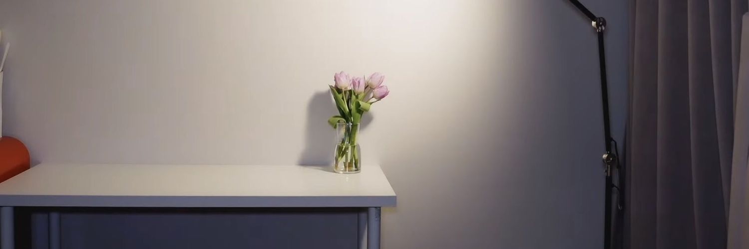 baebaeby___'s profile banner image