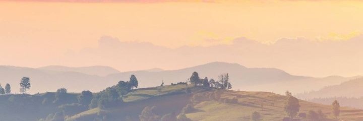 SecretDiaryOfLawfulOwl banner