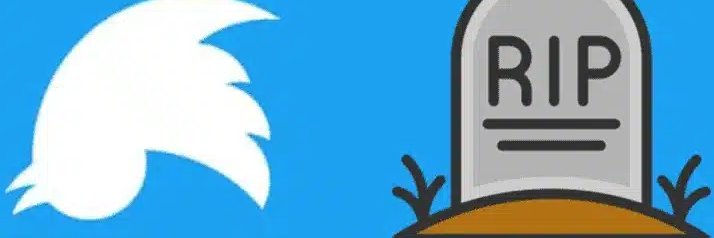 Rafa Cereceda - The sky is bluer in Bluesky. banner