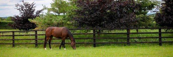 PowerstownStud Profile Banner
