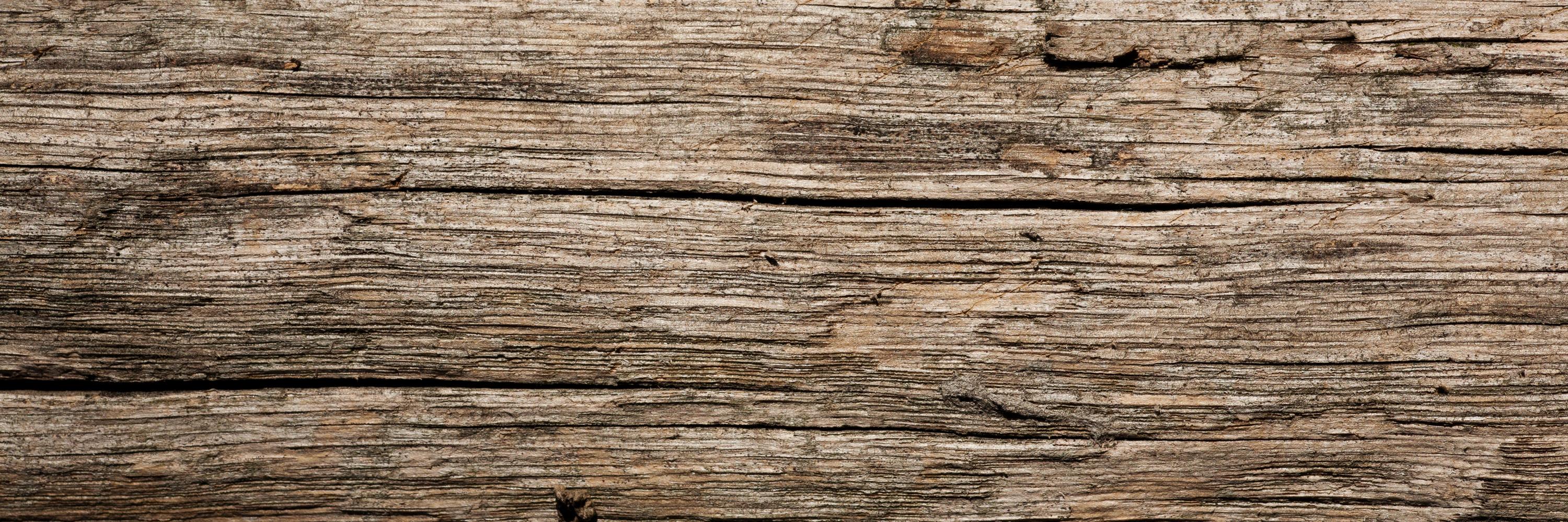 kuruminas's profile banner image