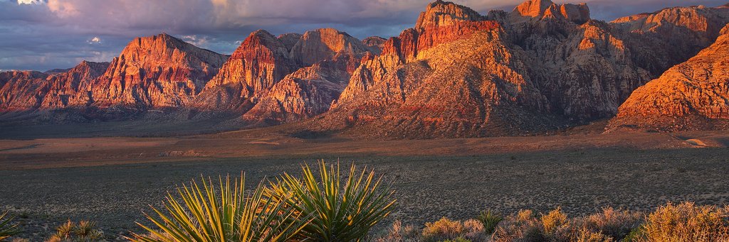 Beverly Nichols 🇺🇦 🕊️🌎🐾🏜️🏞️ banner