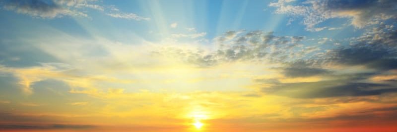 Thames Valley SARC - Solace Centre banner